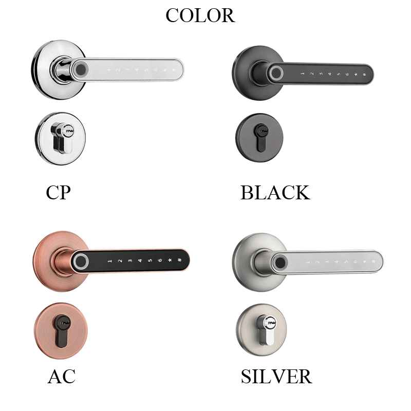 55X72 Magnetic Lockbody Rossette Fingerprint Lock